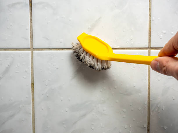 Best Black Mold Removal  in Petal, MS